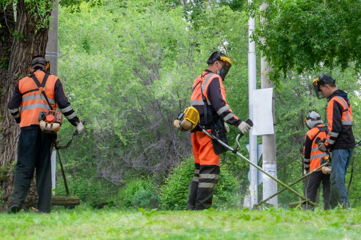 group of workers mowing a lawn