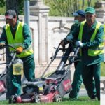 Pros and Cons of Starting a Lawn Care Business