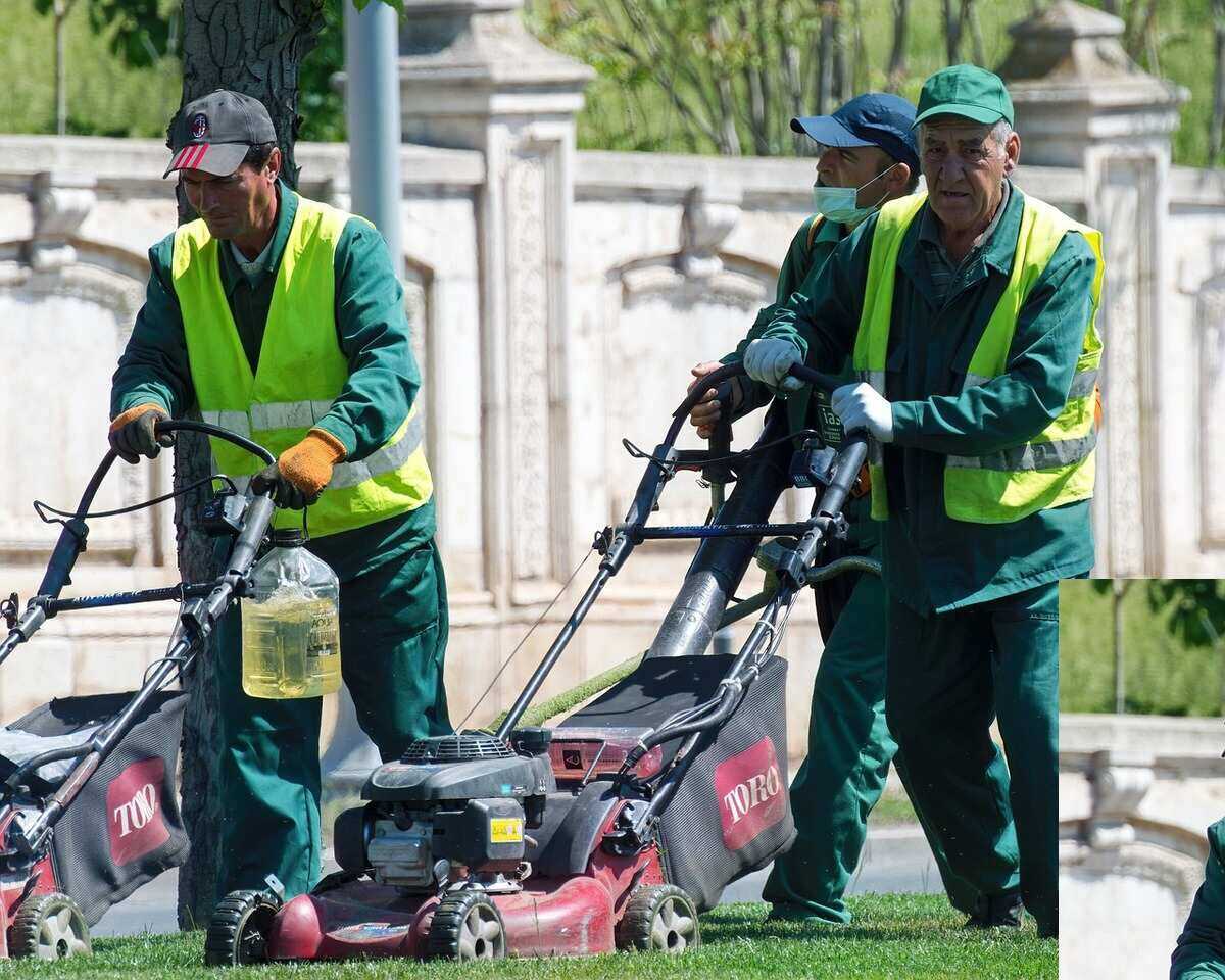 3 men wearing yellow safety vests and pushing lawn mowers