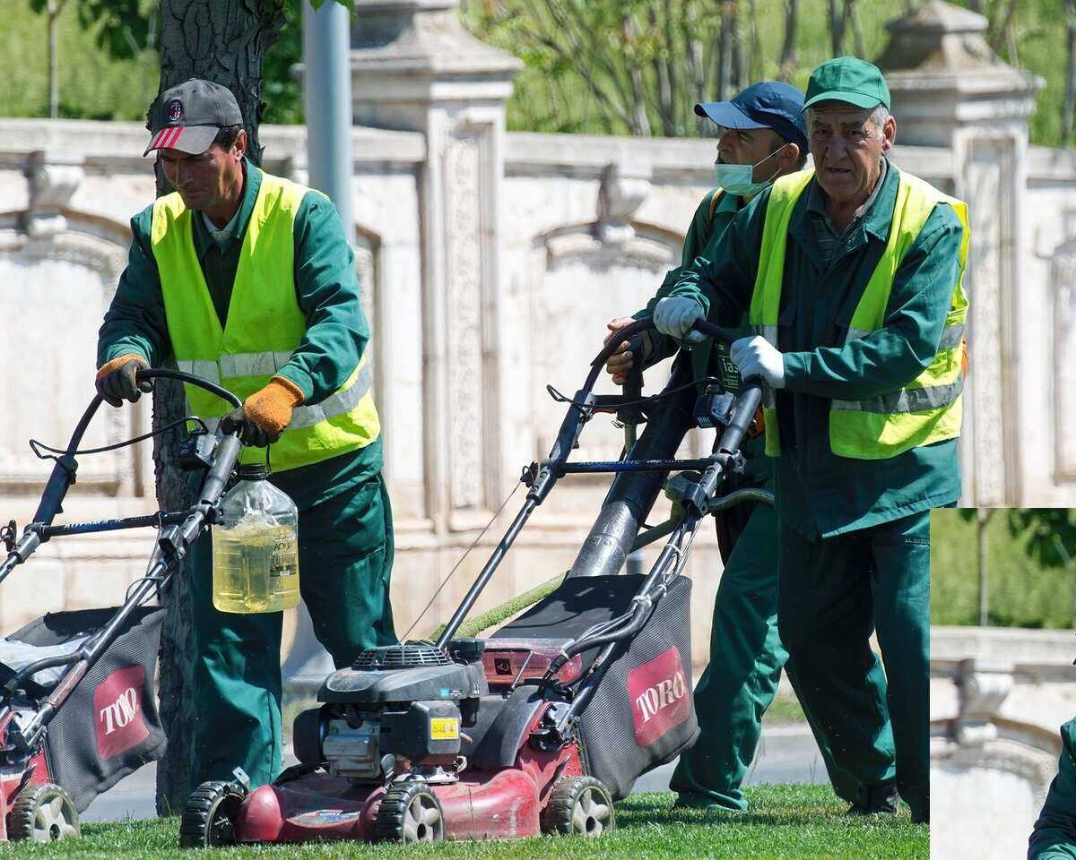 lawn care