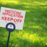 8 Best Pre-Emergent Herbicides for Lawns [Reviews]
