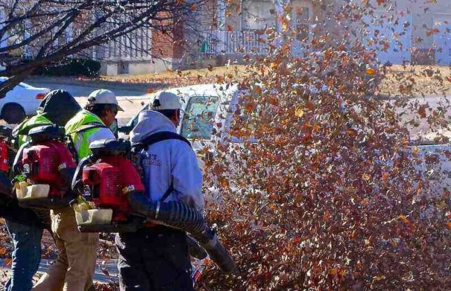 Three guys with gas powered leaf blowers removing leaves