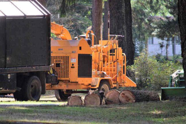 tree cutting machinery sitting in yard next to tree stumps