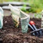 What Does It Cost to Start a Lawn Care Business?