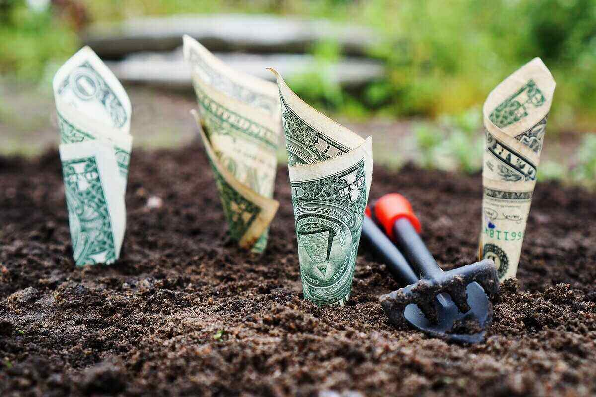 rolled up dollar bills "planted" in soil, with garden tools sitting nearby