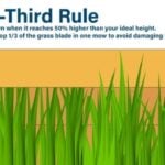 Pricing Guide: How Much Does Lawn Care Cost?