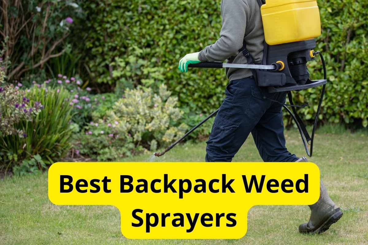 gardener spraying weed killer on lawn with text overlay on it with text overlay on it