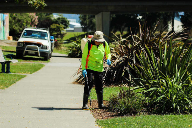 man spraying weeds with backpack weed sprayer