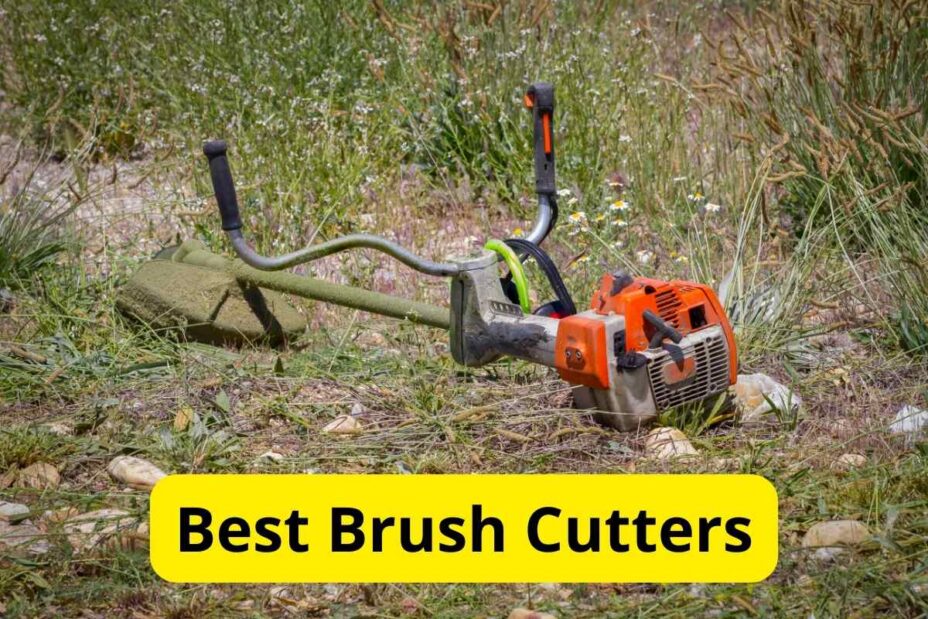 8 Best Brush Cutters of 2024 [Reviews]
