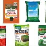 7 Best Fertilizers for Grass in 2022 [Reviews]