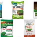 5 Best Fertilizers for Bermudagrass in 2022 [Reviews]