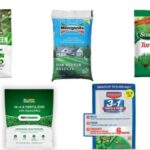 5 Best Fertilizers for St. Augustinegrass in 2022 [Reviews]