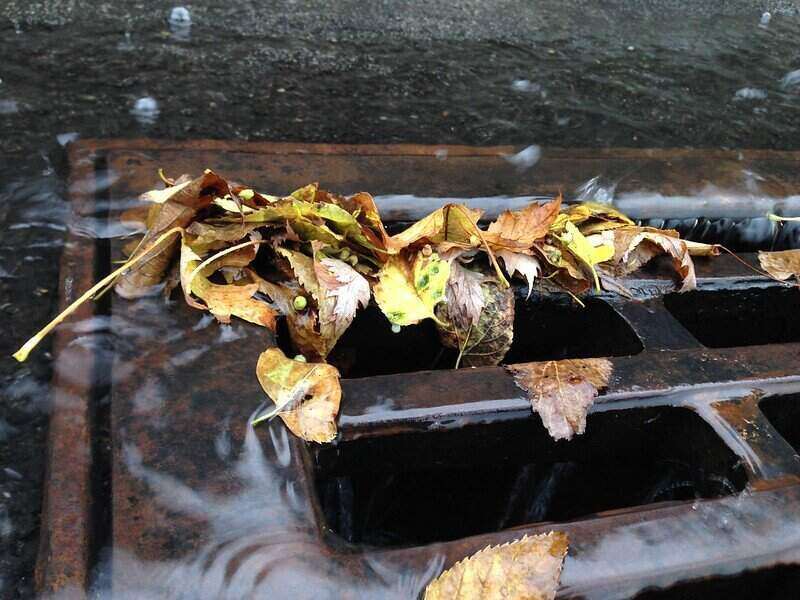 close-up of a storm drain with leaves covering a corner of it
