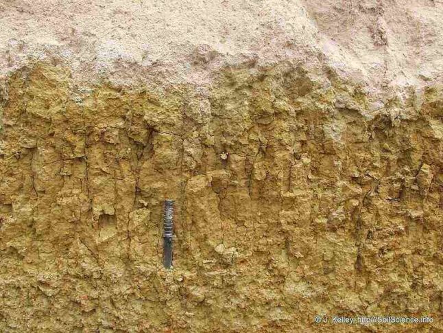 wall of silty soil with a knife stuck in the soil