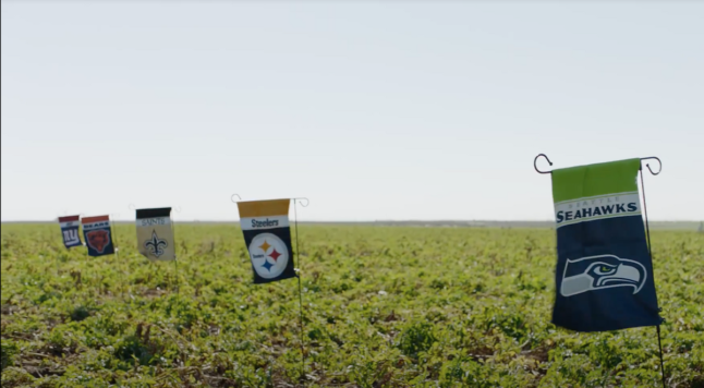 Potato field in Texas with NFL team turf marked by team banners