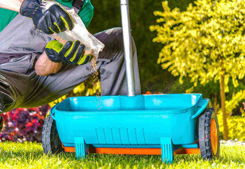 person pouring granulated fertilizer into a manual push-style grass feeder