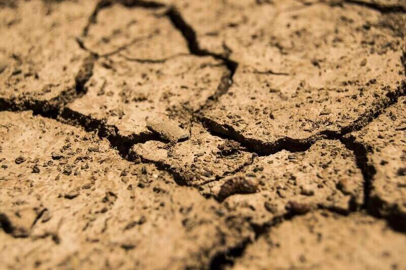 close-up of cracked and dry soil