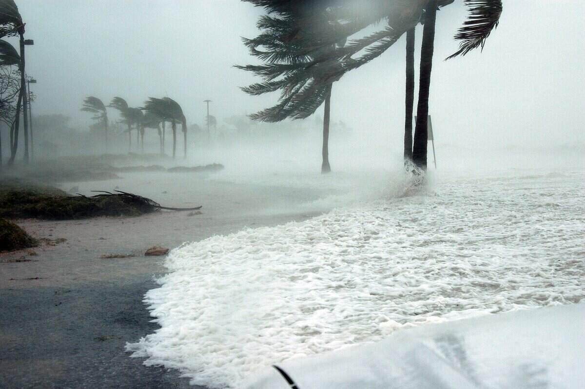 Hurricane or tropical storm on a Key West beach, and the wind blowing palm trees and branches