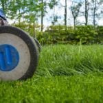 Lawn Care For Beginners (in 13 Easy Steps)