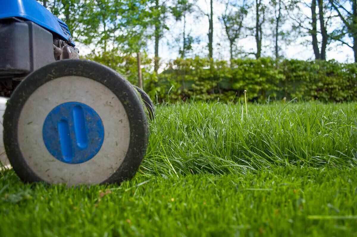 close-up of a lawnmower cutting grass