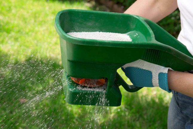Lawn fertilizer being spread with a manual fertilizer spreader