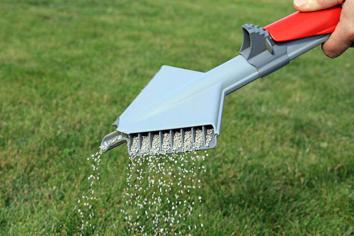 Lawn fertilizer is spread by hand with a T-shaped tool that spreads fertilizer from both sides of an arrow-shaped element