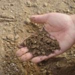 Guide to Soil Types: Pros, Cons, and Plant Suggestions