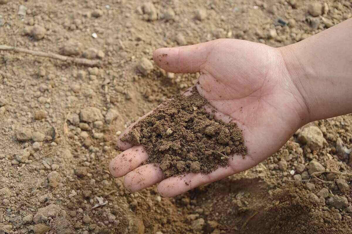 Properties of tested soft clay soil.