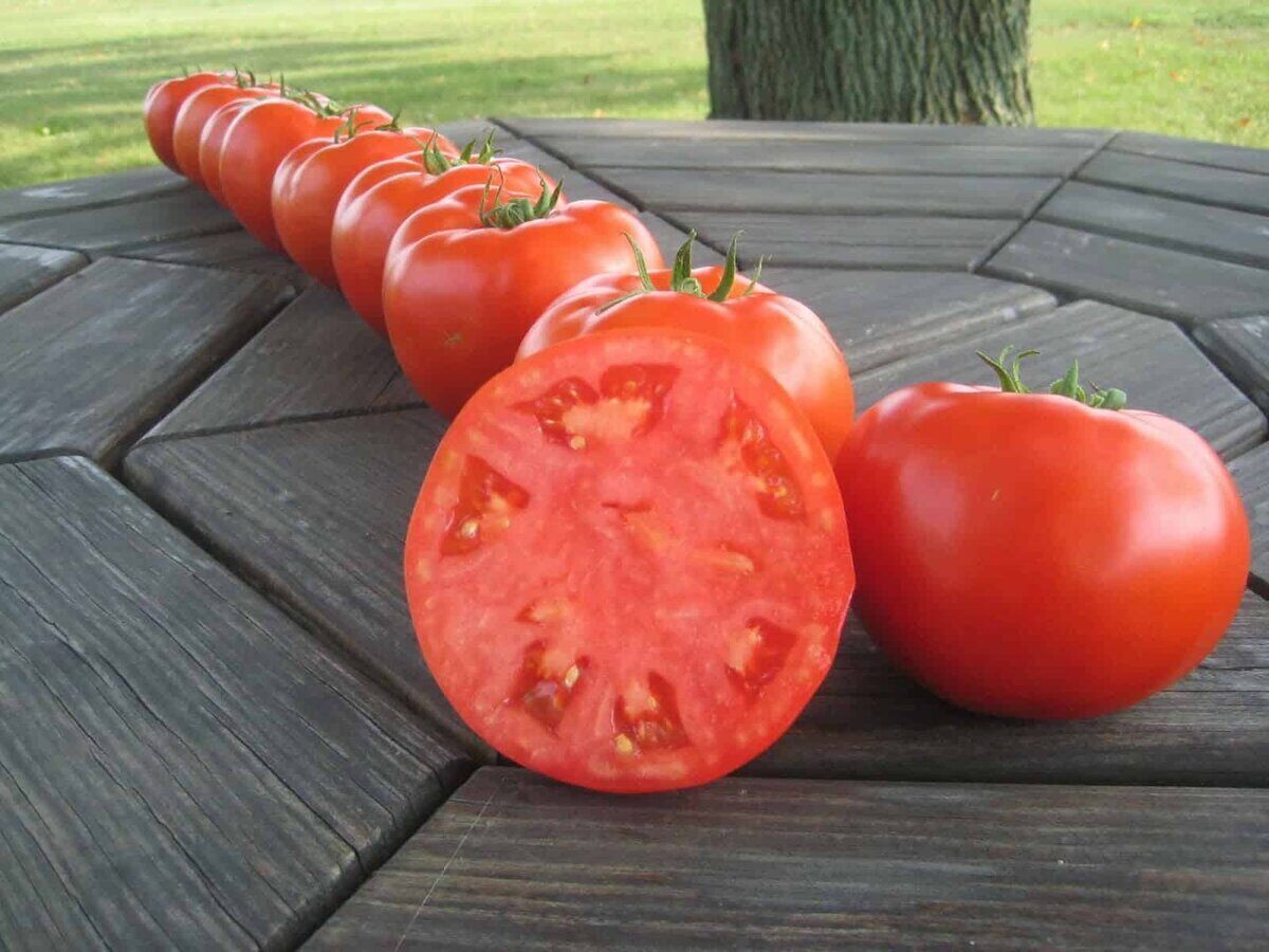 A row of tomatoes atop a wood table with the tomato in the foreground sliced