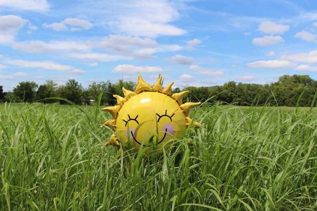 Yellow, smiley-face balloon sitting on grass in an open field