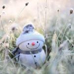 Guide to Growing Cool-Season Grasses