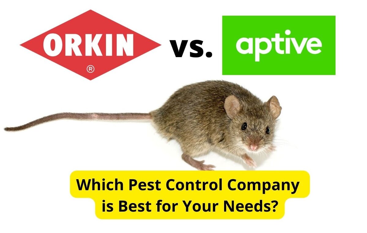 Orkin and Aptive Environmental logos with mouse and headline Which Pest Control Company Is Best for Your Needs headline