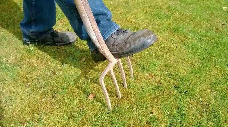 pitchfork in soil for aeration