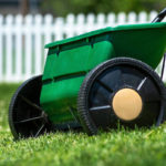 How to Overseed a Lawn in 8 Simple Steps