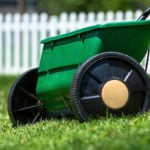 How to Overseed a Lawn in 8 Simple Steps