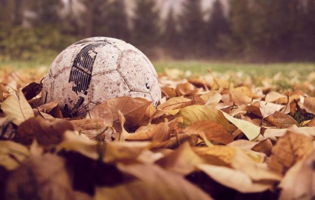 soccer ball laying on a field covered in leaves