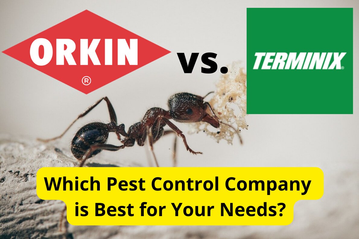 Orkin and Terminix logos with headline Orkin vs. Terminix and Which Pest Control Company is Best for Your Needs as headline