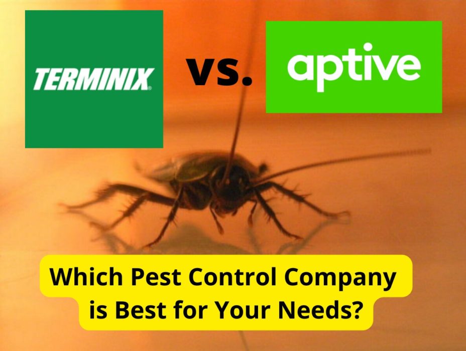 Terminix Vs Aptive Environmental Pest Control Companies Compared 
