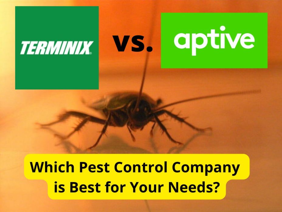Terminix Vs Aptive Environmental Pest Control Companies Compared Terminix Vs Aptive Environmental Pest Control Companies Compared