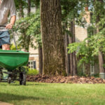 How to Fertilize Your Lawn