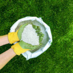 How to Choose the Right Lawn Fertilizer