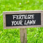 When to Fertilize Your Lawn