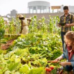 2022’s Best Cities for Urban Gardening