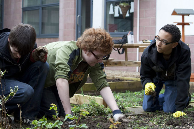 Boys hand-pull weeds