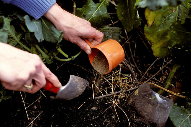 Fertilizing Soil