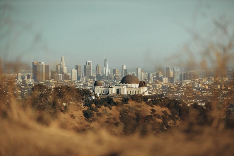 A shot of the Los Angeles skyline with the Griffith Observatory in the forground from a hill surrounded by plants