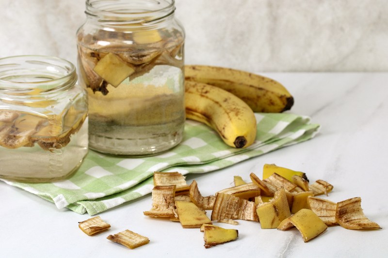 Glass jars filled with water and banana peels beside whole bananas and scattered peels on a cloth-covered surface.