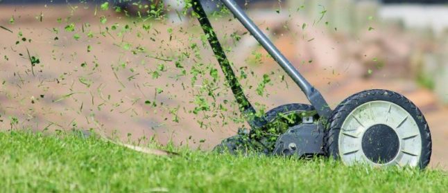 Lawn mower mowing grass