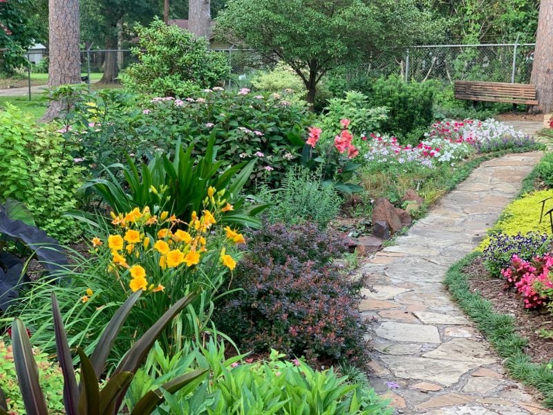 A Native Plant Garden with beautiful flowers in it.