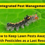 What is Integrated Pest Management?
